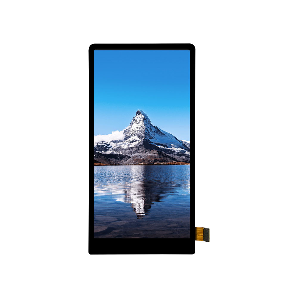 THC055V009.jpg THC055V009.jpg